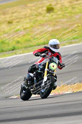 media/Apr-13-2024-Classic Track Day (Sat) [[9dd147332a]]/Group 3/Session 3 (Turn 3)/